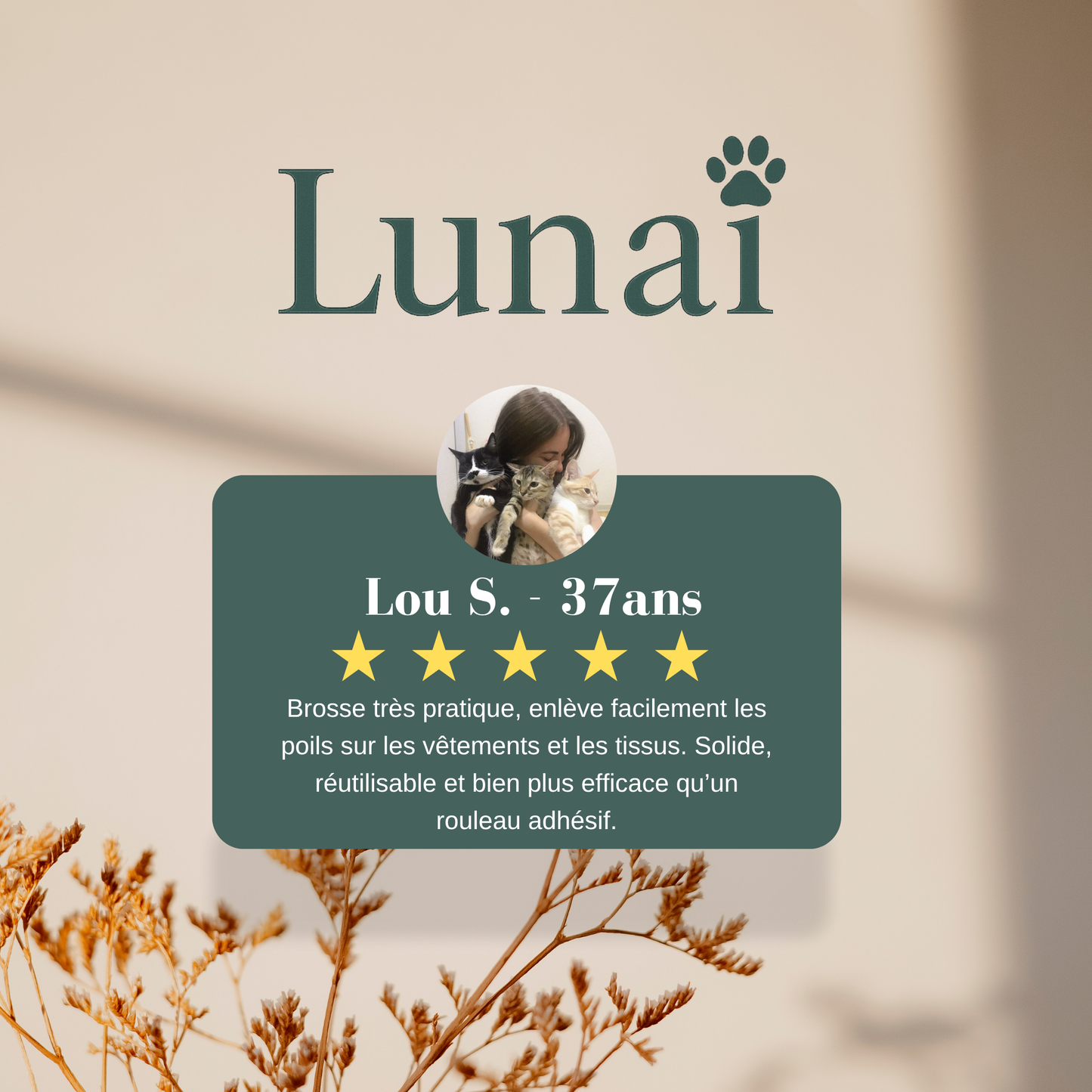Lunaï™ — Technologie Électrostatique de Précision