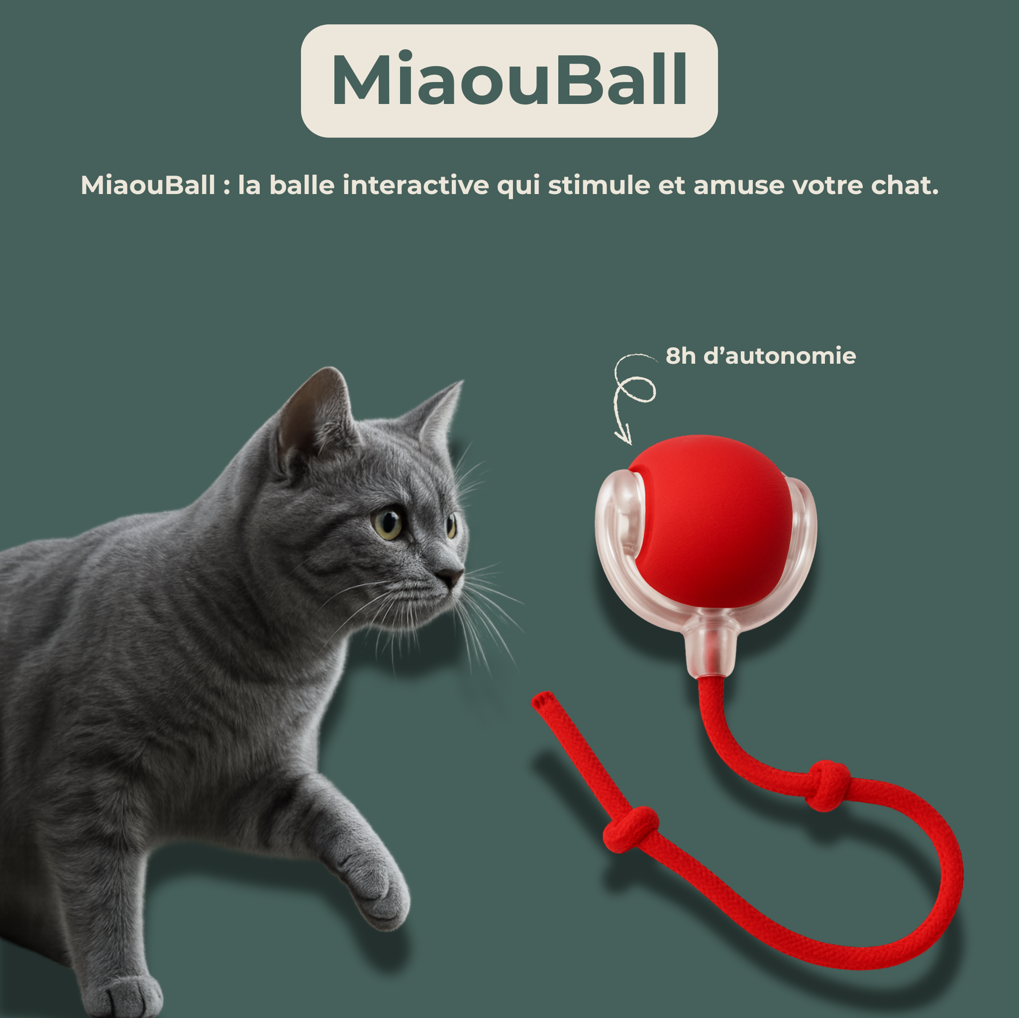 Lunaï — MiaouBall • Activité fun et anti-stress