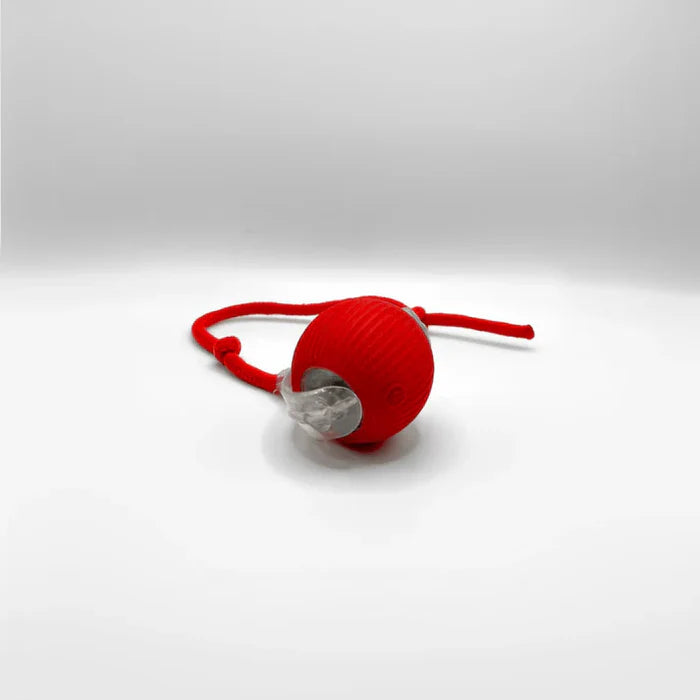 Lunaï — MiaouBall • Activité fun et anti-stress