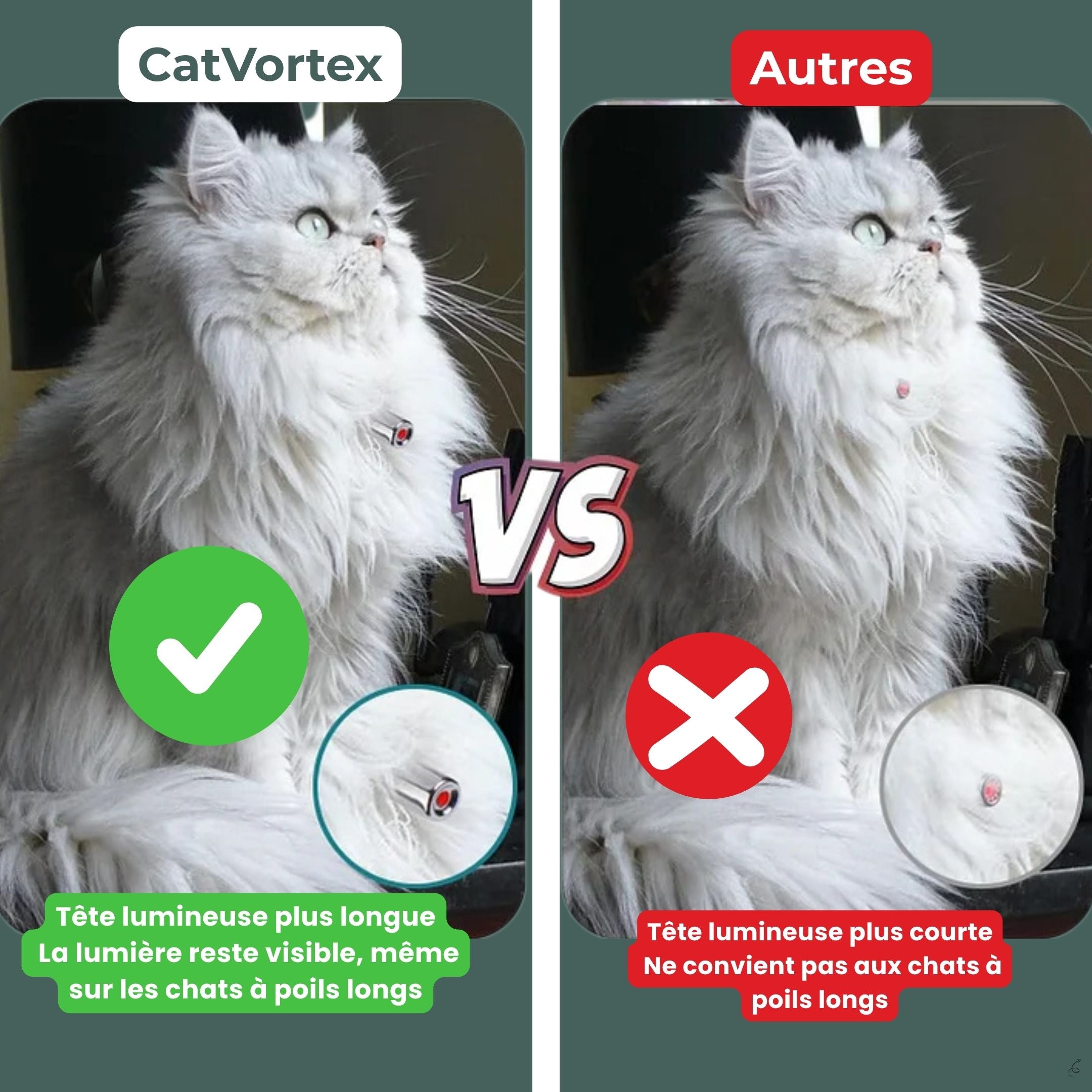 CatVortex — Instinct réveillé