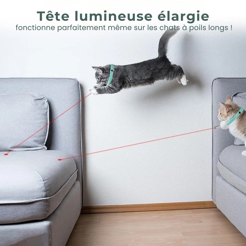 CatVortex — Instinct réveillé