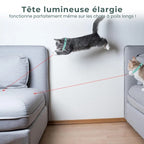 CatVortex — Instinct réveillé