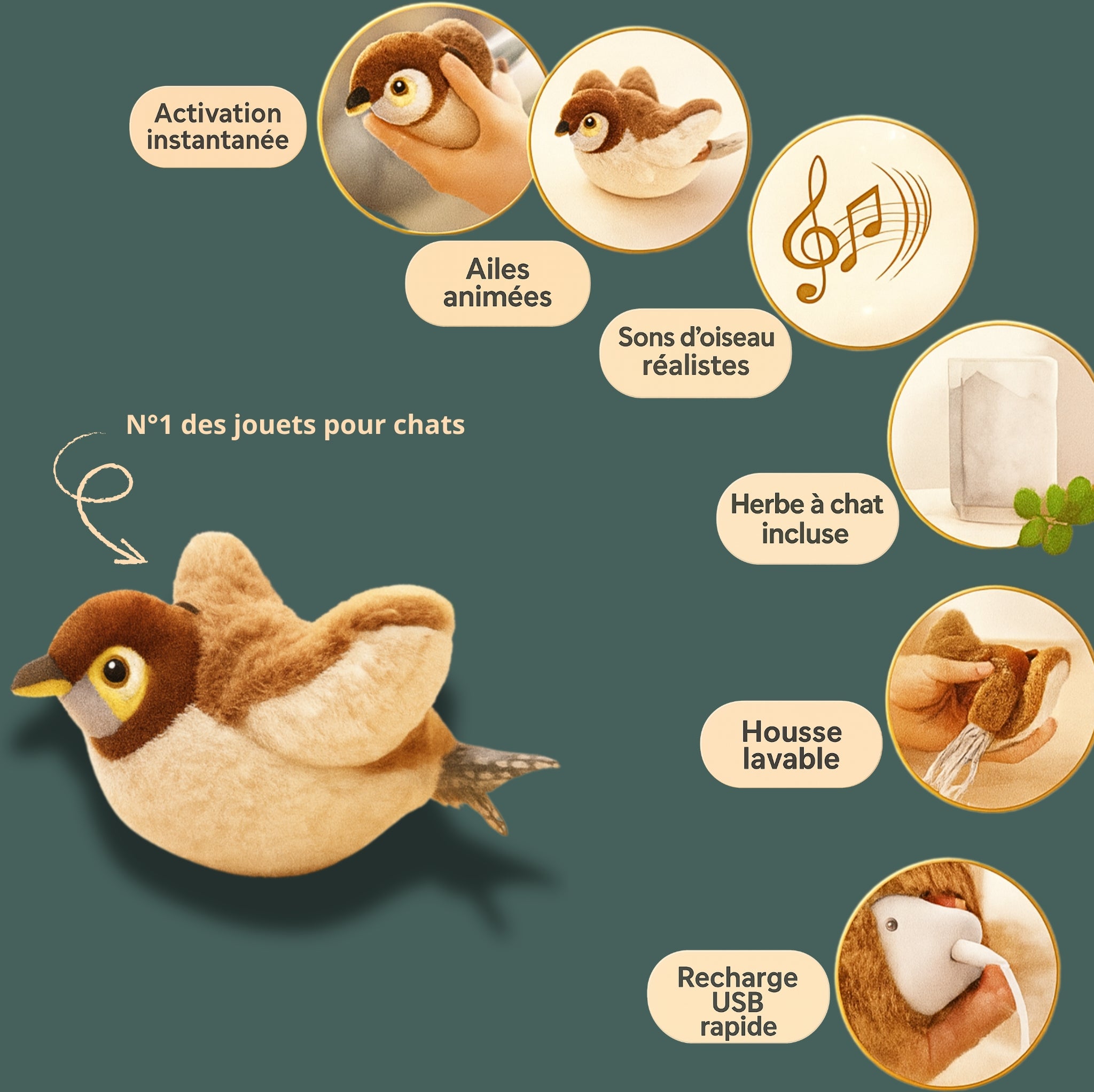 Lunaï — MiaouBird • Jeu interactif ultra-captivant