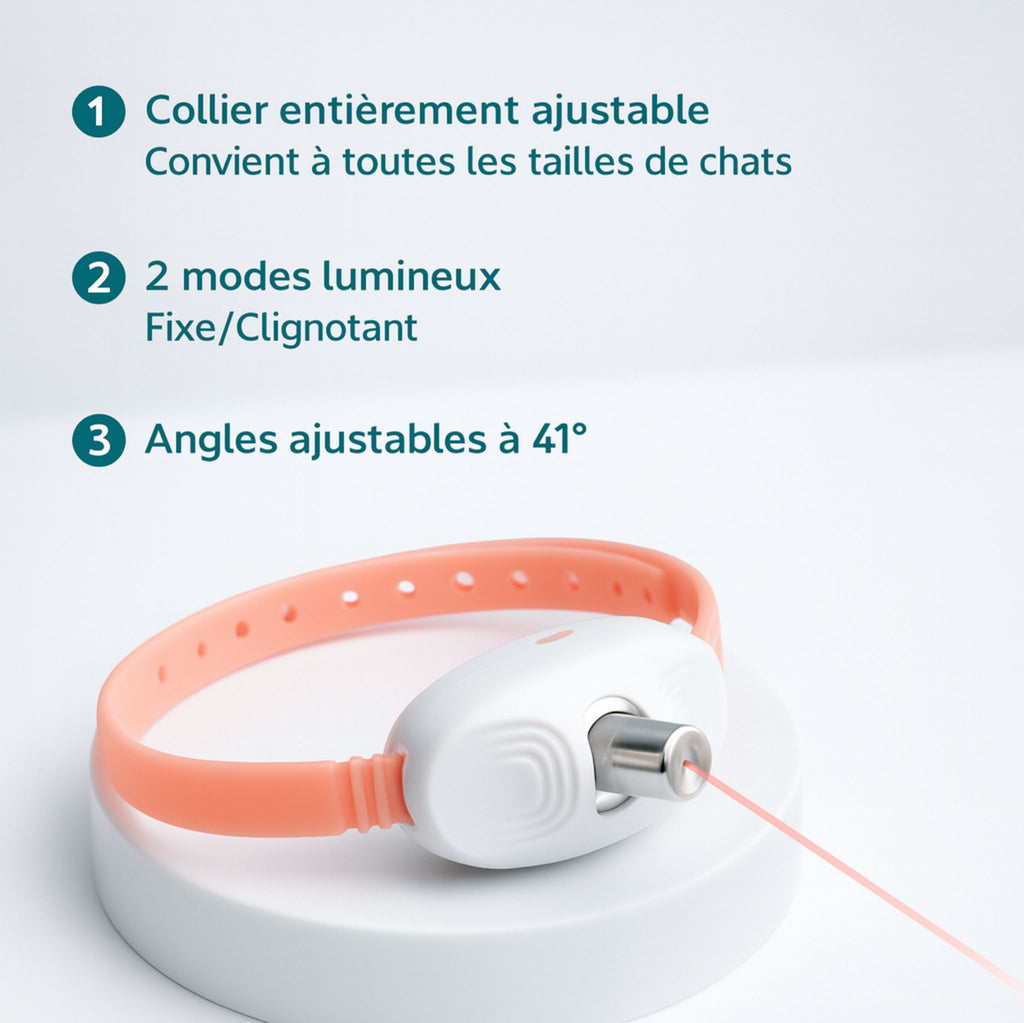 CatVortex — Instinct réveillé