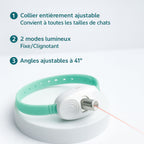 CatVortex — Instinct réveillé