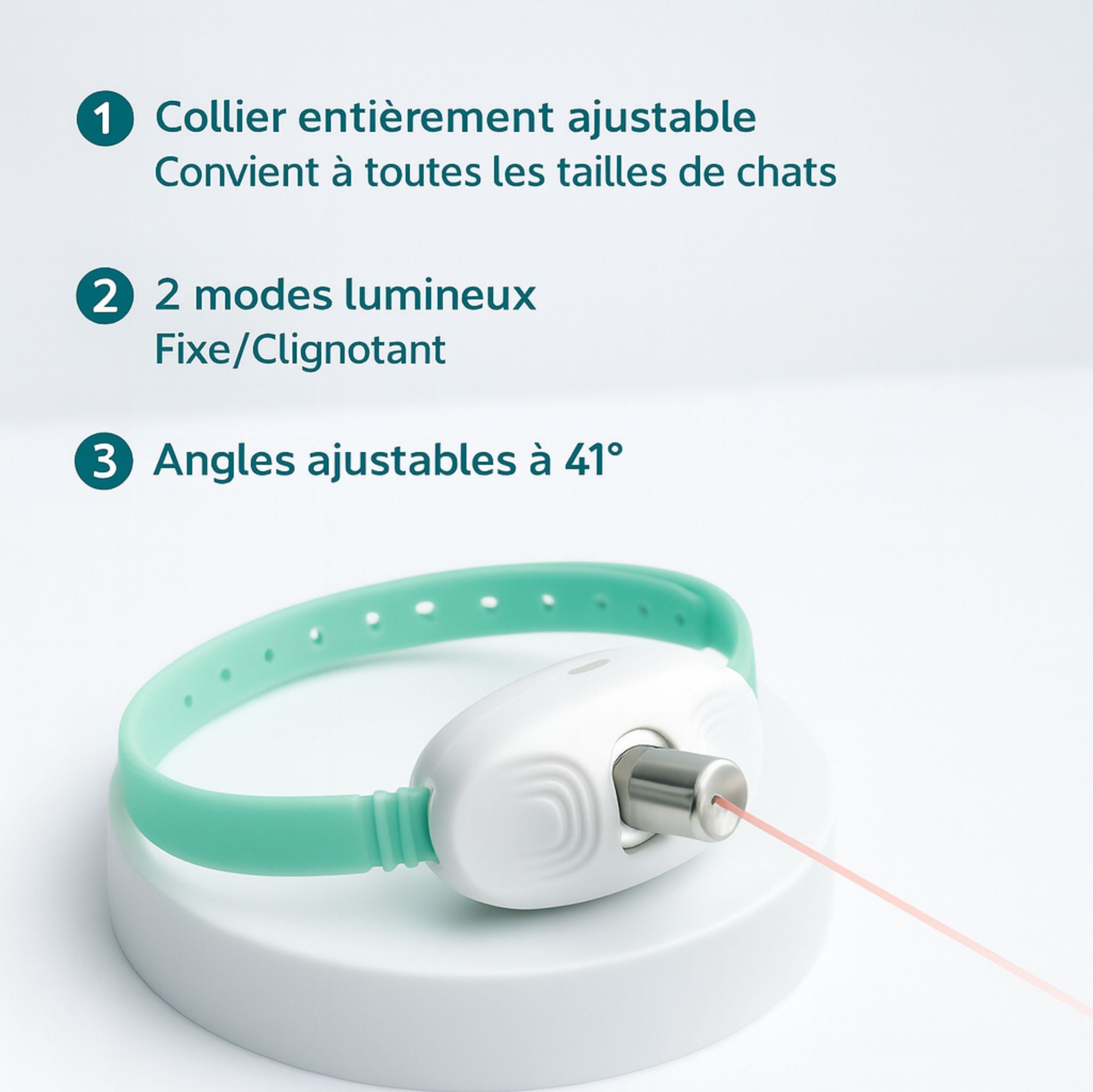 CatVortex — Instinct réveillé