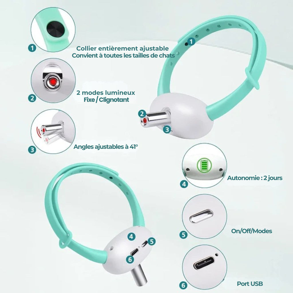 CatVortex — Instinct réveillé