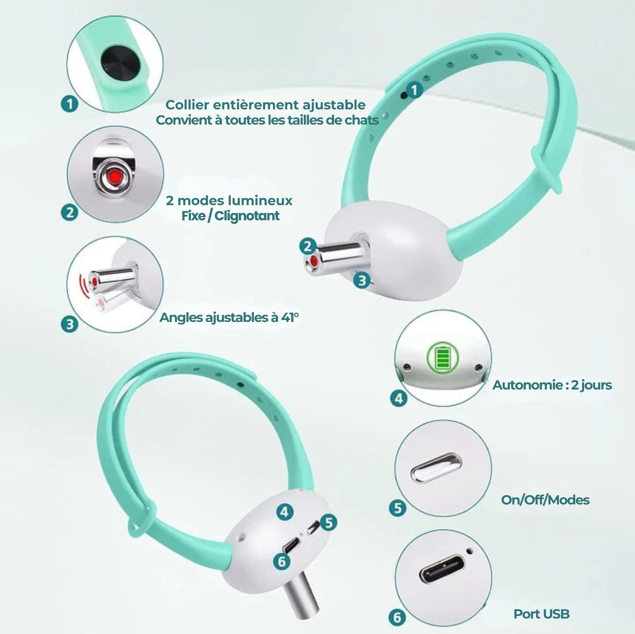 CatVortex — Instinct réveillé