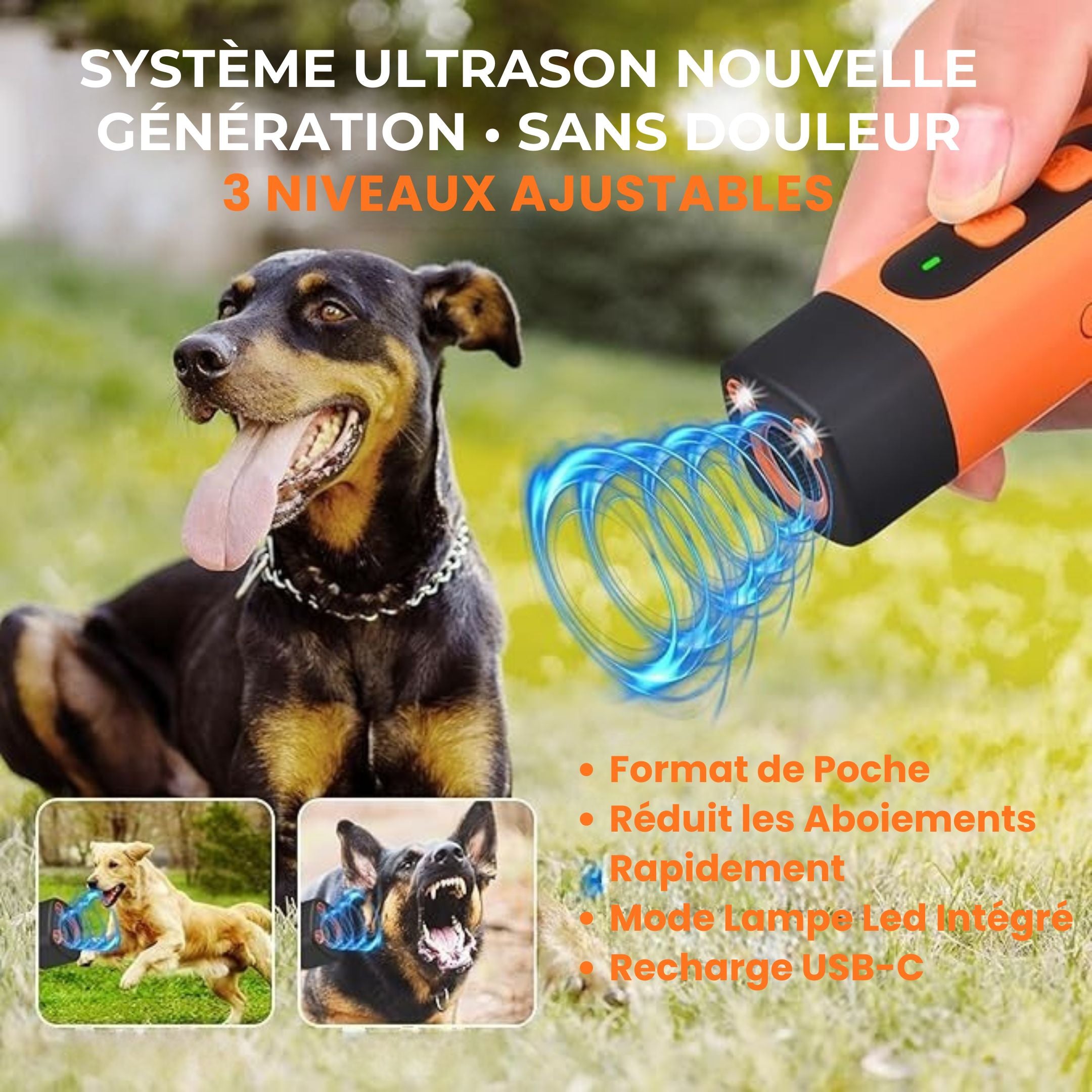 ZenWave —  Appareil de Dressage Canin Doux et Sans Douleur