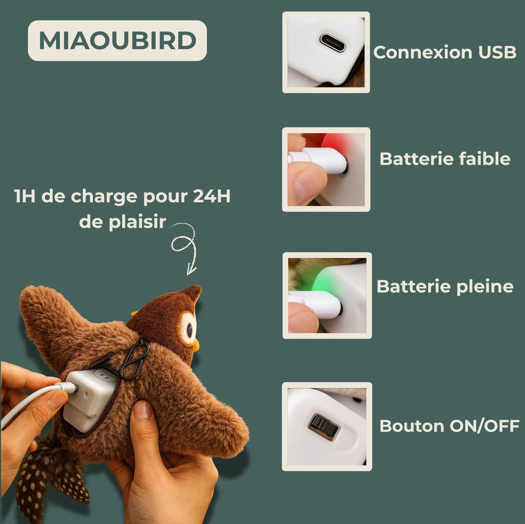 Lunaï — MiaouBird • Jeu interactif ultra-captivant