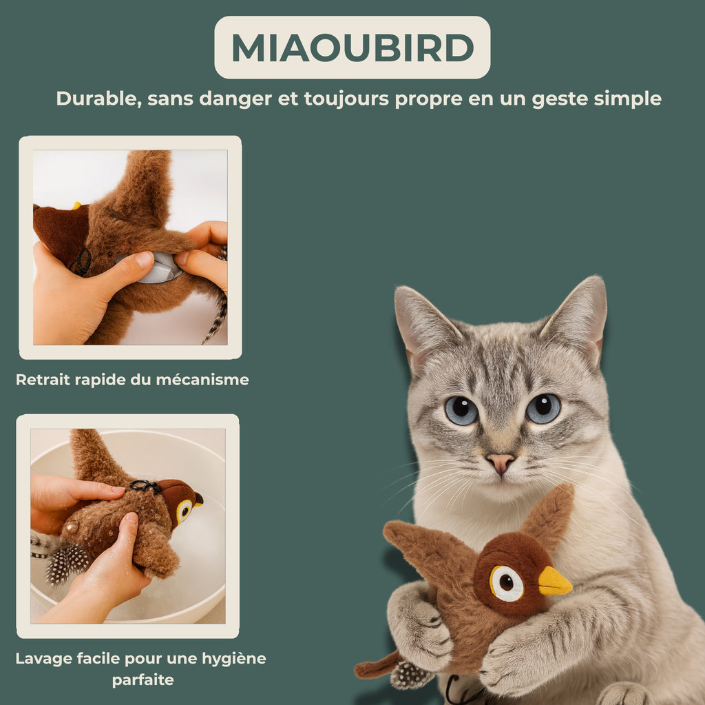 Lunaï — MiaouBird • Jeu interactif ultra-captivant
